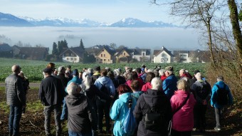 Zuger Senioren Wandern Kappel über dem Nebelmeer März 24